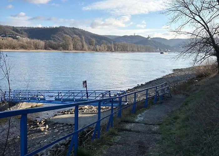 Renovated Until - Dream House With Garden And Billiards 度假居 *